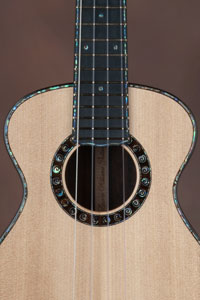 acoustic guitar