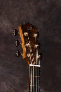 acoustic guitar