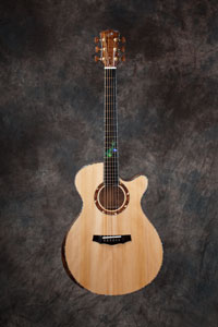 acoustic guitar