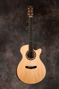 acoustic guitar