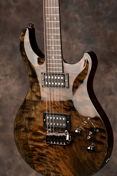 Electric guitar model