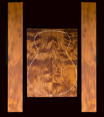 L.J. Williams Signature Series Set