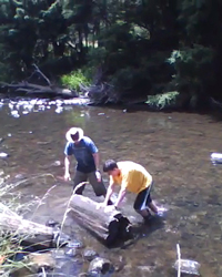 Paraoanui Sinker Soundboard