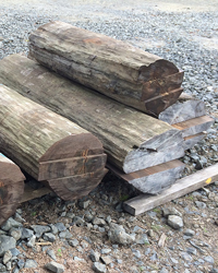 Paraoanui Sinker Soundboard